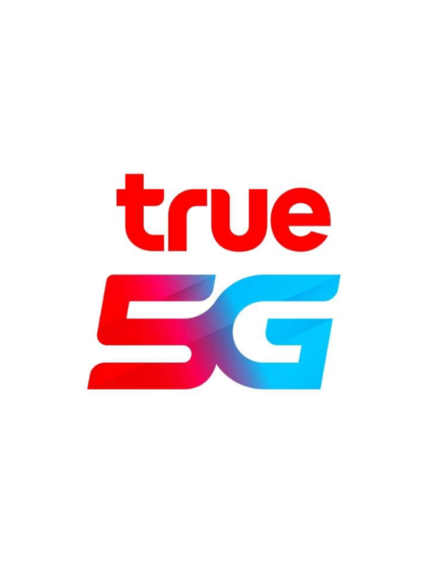 True Move H (ทรูมูฟเอช) 100 บาท